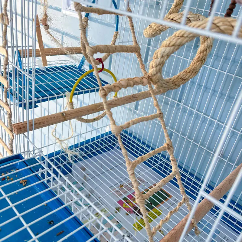 Escada de sisal, para playground de calopsita ou aves de estimação.